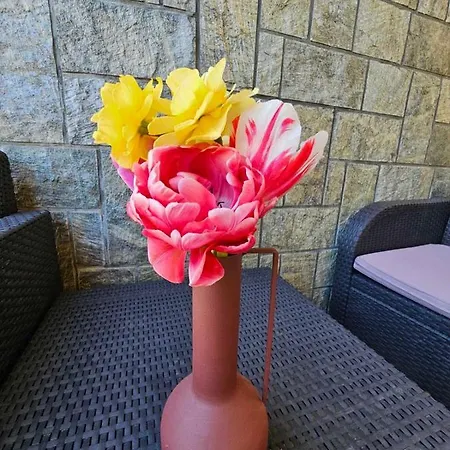 萨娜公寓 * Sukošan