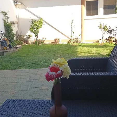 Appartement San